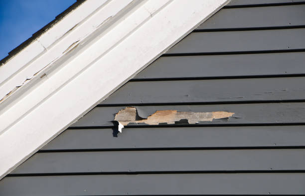 Albany, LA Siding Installation & Repair Company
