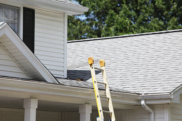 Best Weatherproofing and Sealing  in Albany, LA