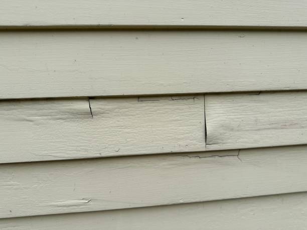 Albany, LA Siding Installation & Repair Company